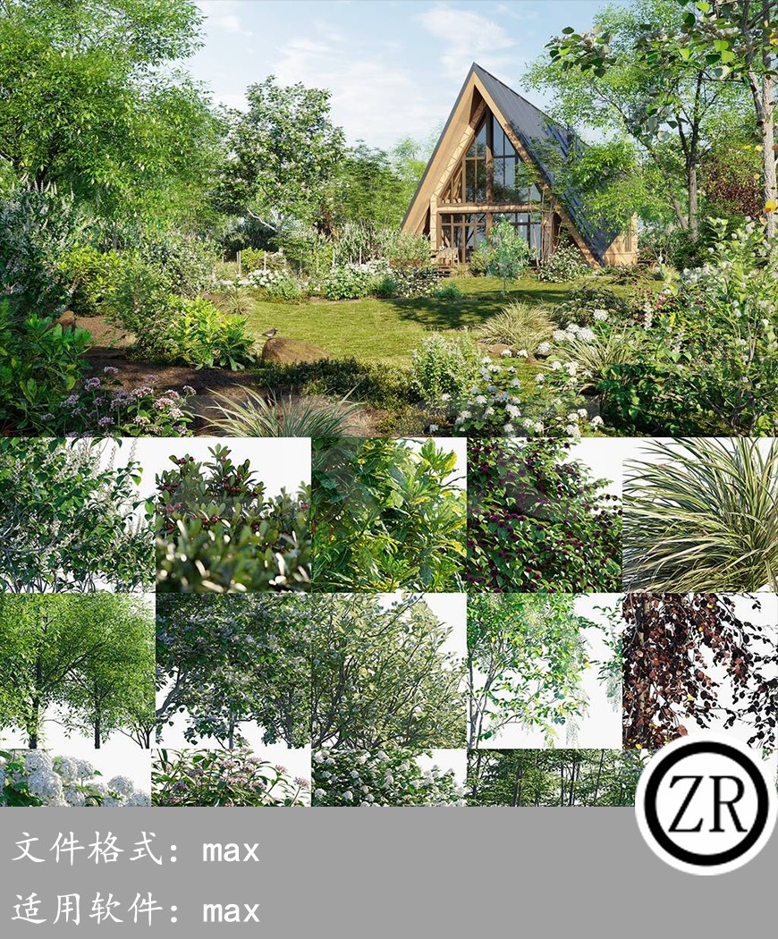 北美居家花园 Globe Plants – Bundle 29 North American Home & Garden 02